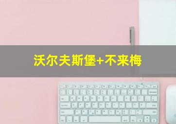 沃尔夫斯堡 不来梅